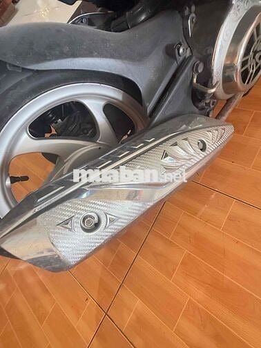 xe đẹp  đi  ve ve