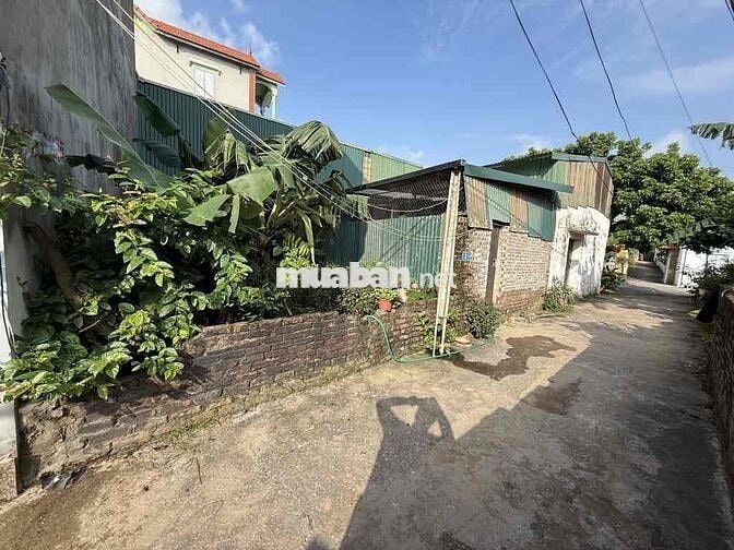 ĐẤT XUÂN KHÔI 40M² – Ô TÔ THÔNG – VỊ TRÍ VÀNG – SỔ HOA HẬU – GIÁ ĐẦU