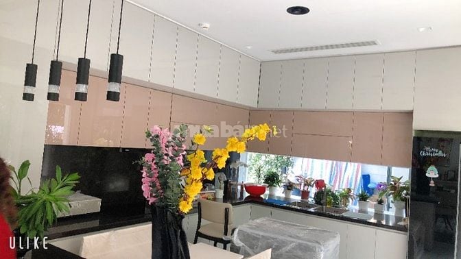 Cho thuê Biệt Thự đơn lập Nam Thông đường lớn giá 91 triệu
