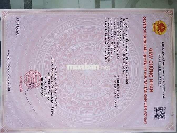 ĐẤT FULL THỔ CƯ 146,3 m2 - Phước Hậu, Cần Giuộc, Long An