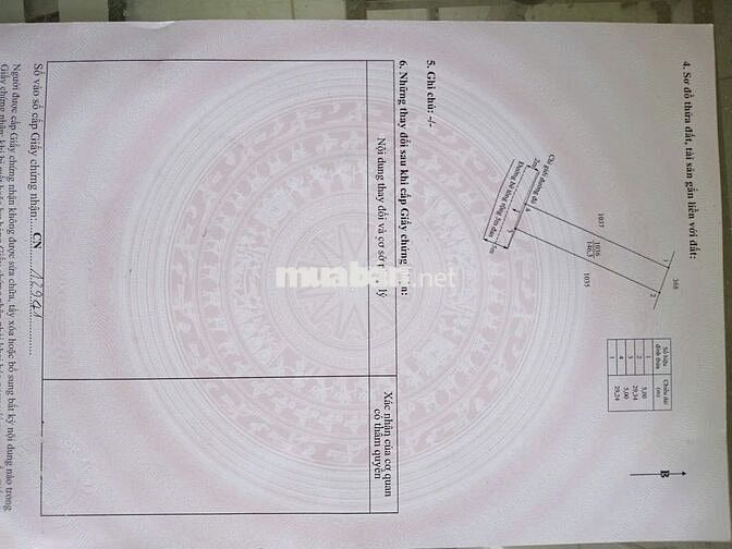 ĐẤT FULL THỔ CƯ 146,3 m2 - Phước Hậu, Cần Giuộc, Long An