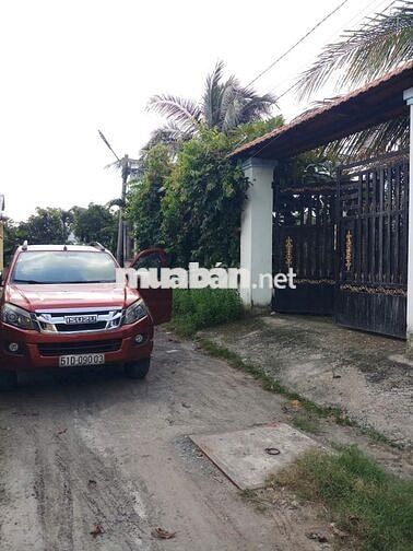 ĐẤT FULL THỔ CƯ 146,3 m2 - Phước Hậu, Cần Giuộc, Long An