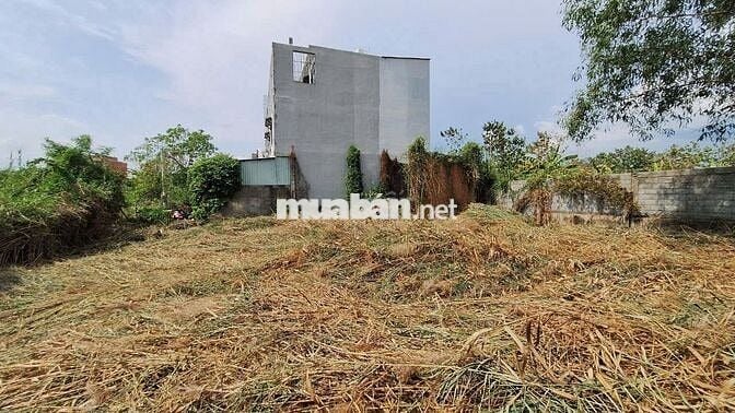 Bán Lô Đất 224m2 Kế Khu Hoàng Hoa Nguyễn Bình, Nhà Bè-Giá  25triệu/m2