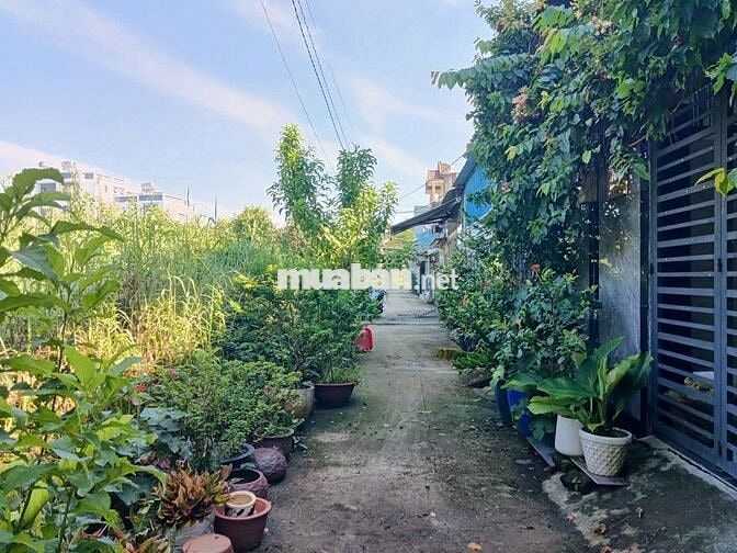 Bán Lô Đất 224m2 Kế Khu Hoàng Hoa Nguyễn Bình, Nhà Bè-Giá  25triệu/m2