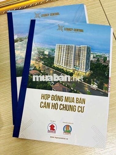 Căn hộ chung cư Legacy Central 1 PN+, 42 m2, Thuận Giao 25, Thuận An