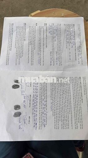 Chính chủ Bán Nhà Tân Kỳ Tân Quý Mặt Tiền Kênh Nước Đen