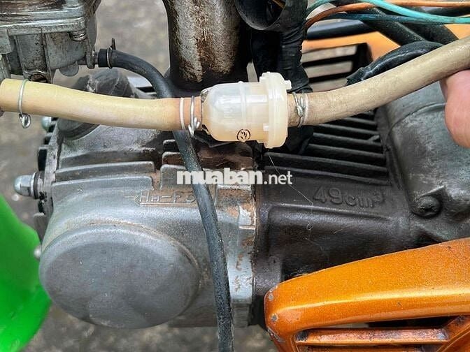 xe bán Honda cúp 50 cc én mỹ đk năm 1993