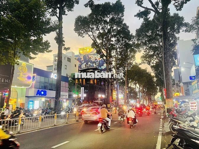 Rẻ Nhất - Mặt tiền Nguyễn Tri Phương - 4,3x20 - 4 Tầng - Giá 62 Triệu