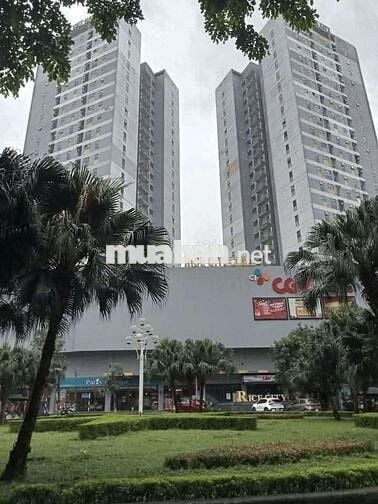 58M- TOÀ TRUNG RICE CITY - TÂY NAM LINH ĐÀM 58M- TOÀ TRUNG RICE CITY - TÂY NAM LINH ĐÀM