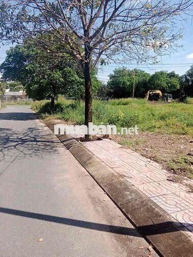 BÁN ĐẤT MẶT TIỀN ĐƯỜNG – TÂN PHÚ TRUNG, CỦ CHI – TP.HCM