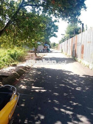 BÁN ĐẤT MẶT TIỀN ĐƯỜNG – TÂN PHÚ TRUNG, CỦ CHI – TP.HCM