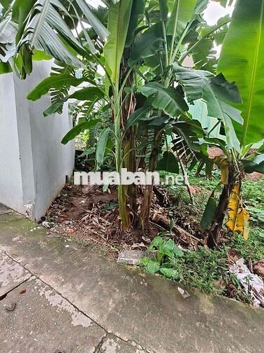 cần bán  lô đấtvthoor cư tổ 14 yên nghĩa hà đông