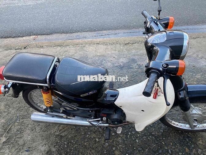 cúp đã lên trái 54