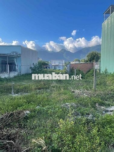 Chào bán lô đất kiệt đường Nguyễn Văn Cừ
