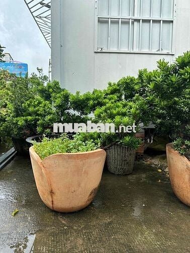 Đất nền sổ sẵn thổ cư, đường oto 7 chỗ