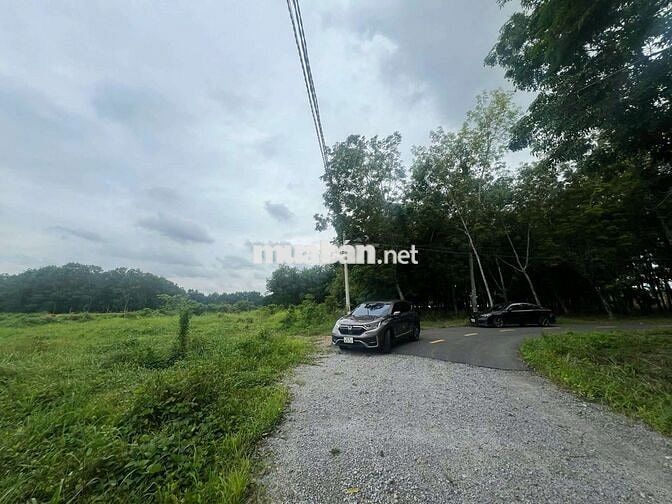 Cần bán 3.2 ha đất SKC tại Vĩnh Tân Tân Uyên Bình Dương