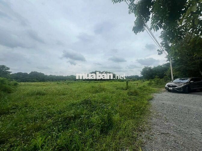 Cần bán 3.2 ha đất SKC tại Vĩnh Tân Tân Uyên Bình Dương