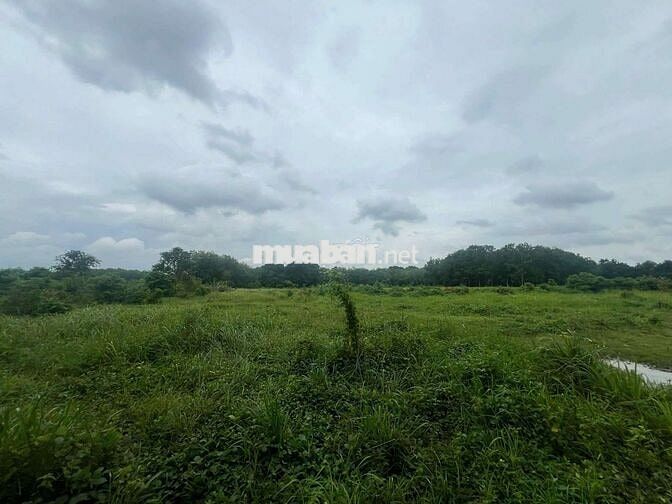 Cần bán 3.2 ha đất SKC tại Vĩnh Tân Tân Uyên Bình Dương