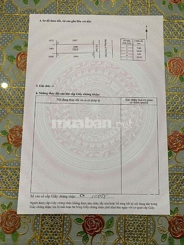 Nền nhà phố khu dân cư T T long hậu 