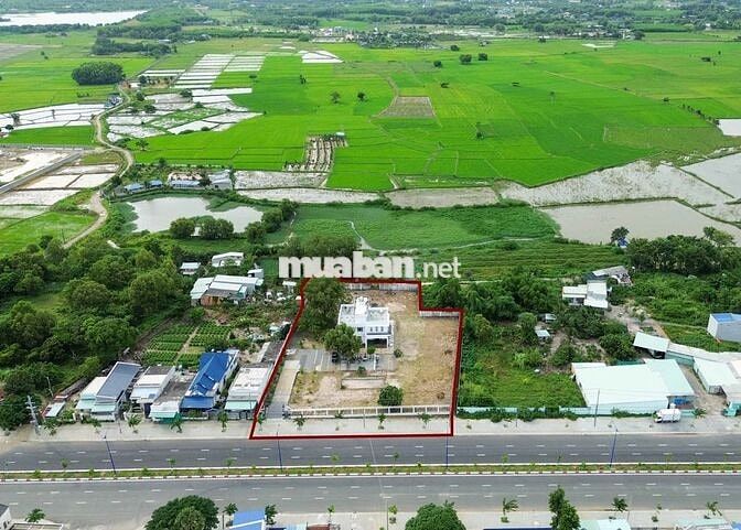 BIỆT THỰ biển 4330m2 PHƯỚC HẢI MT 54m VIEW NÚI, RUỘNG & BIỂN