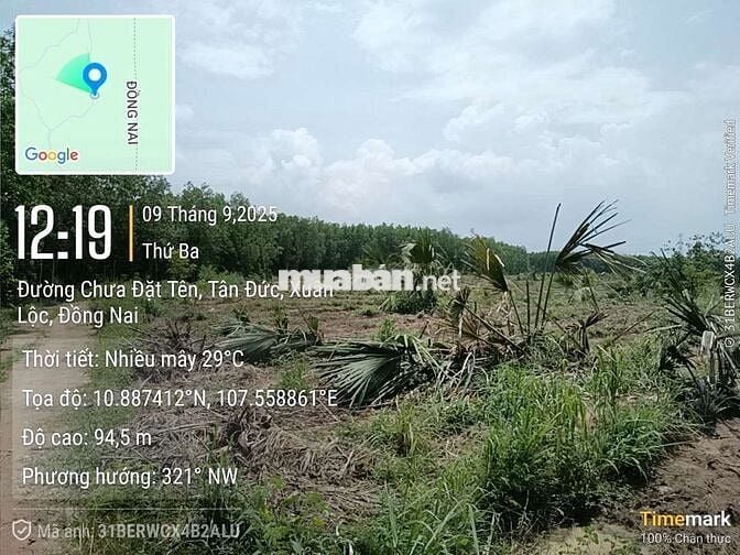 Cần chia bớt cho anh chị có nhu cầu