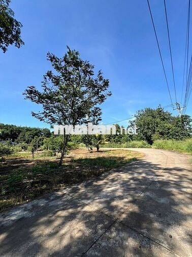Bán gấp lô đất 200m² sau chợ An Linh – giá chỉ 420 triệu, có thổ cư!