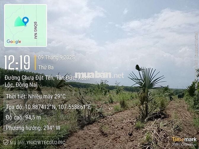 Cần chia bớt cho anh chị có nhu cầu