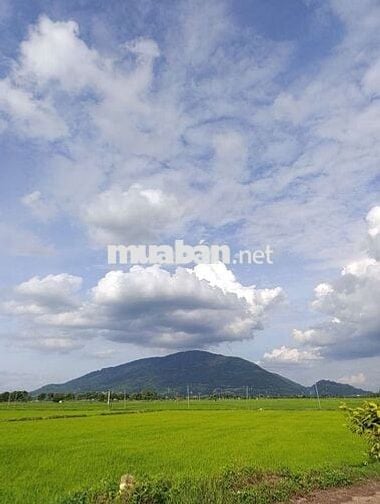 BÁN ĐẤT TRỤC CHÍNH VÀO KHU DU LỊCH NÚI CHỨA CHAN – GIÁ CHỈ 790 TRIỆU