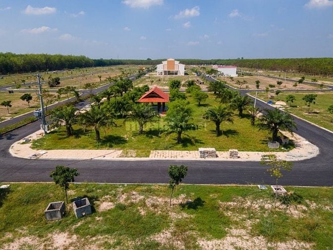 Chỉ từ 350 triệu sở hữu ngay đất nền Thành phố Hồ Chí Minh - Sổ hồng g