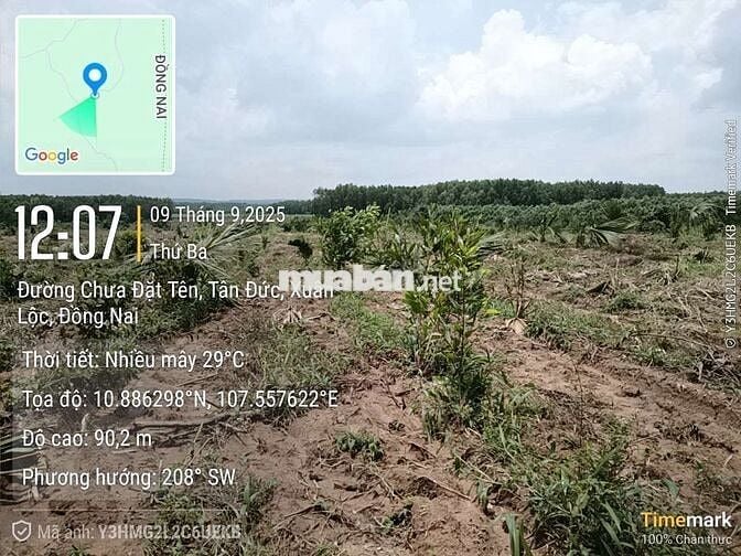 Cần chia bớt cho anh chị có nhu cầu