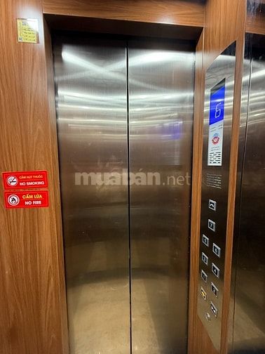 MẼ TRÌ,BÁN CĂN CCMN 7 TẦNG,12 PHÒNG,DOANH THU 80TR/ THÁNG,NGÕ THÔNG 