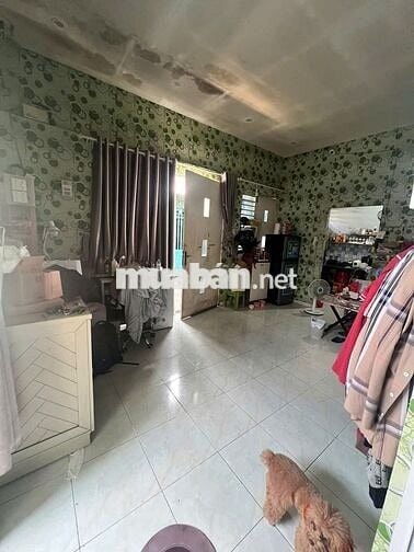 CHO THUÊ NHÀ PHƯỜNG THỐNG NHẤT GIÁ 4 TRIỆU