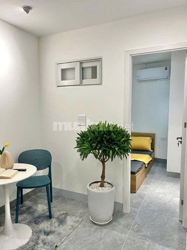 MẼ TRÌ,BÁN CĂN CCMN 7 TẦNG,12 PHÒNG,DOANH THU 80TR/ THÁNG,NGÕ THÔNG 