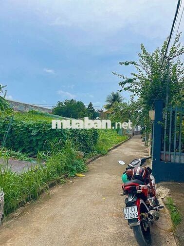 Bán đất 1/ Trần Văn Giàu 5m x 19,7m thổ cư phạm văn hai Bình Chánh