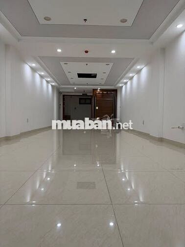 BÁN NHÀ NGUYỄN KHANG - 79M2 - 8 TẦNG THANG MÁY - MT 4.5M - GIÁ 69.6TỶ BÁN NHÀ NGUYỄN KHANG - 79M2 - 8 TẦNG THANG MÁY - MT 4.5M - GIÁ 69.6TỶ