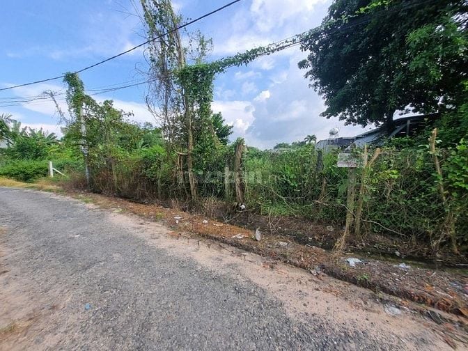 5x33 phường Gò Dầu. Đường nhựa, 620tr có TL 