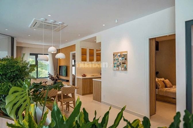 NHÀ Ở XÃ HỘI GIÁ RẺ DÀNH CHO CNV
