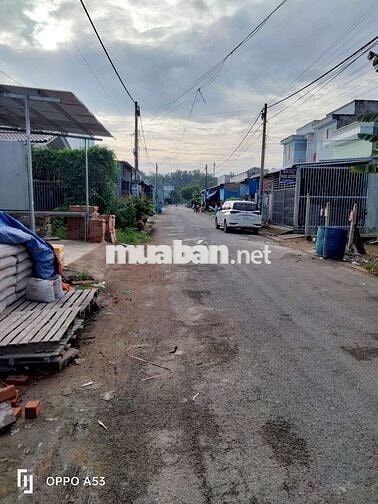 Bán cặp đất đường nhựa 10m thông,KDC Tân Đức,giai đoạn 1