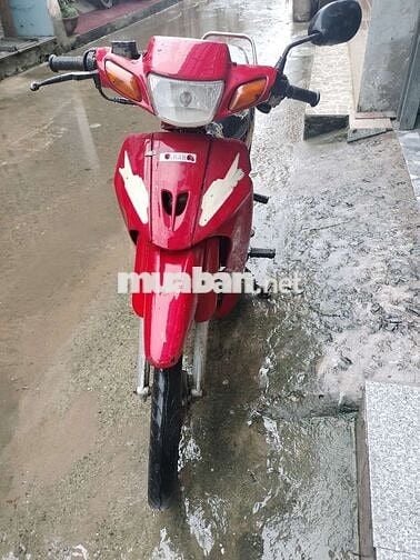 Sirut liên doanh giấy tờ đầy đủ