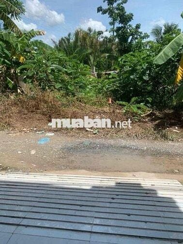 Nhà trệt xây kiên cố, có thêm mé sông rộng mát