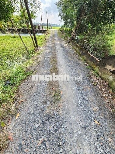 Bán 298m2 thổ cư, xã Hậu Nghĩa, mặt tiền ngang 22m