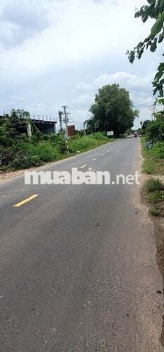 Đất Sổ Hồng Giá Rẻ Đường D8 Chơn Thành