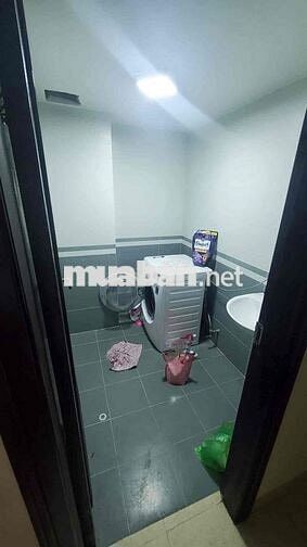 Tìm người thuê cùng trong nhà nguyên căn