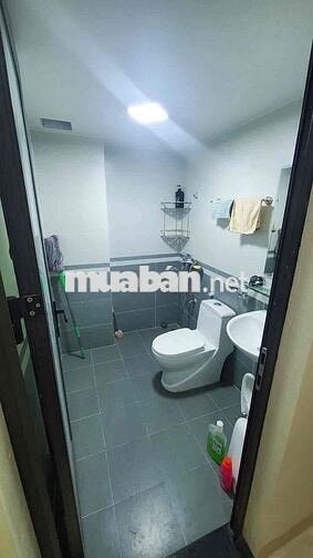 Tìm người thuê cùng trong nhà nguyên căn