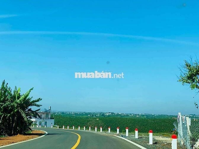 Chủ kẹt tiền cần bán mảnh đất view sông đẹp tại Di Linh, Lâm Đồng.