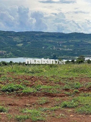 Chủ kẹt tiền cần bán mảnh đất view sông đẹp tại Di Linh, Lâm Đồng.