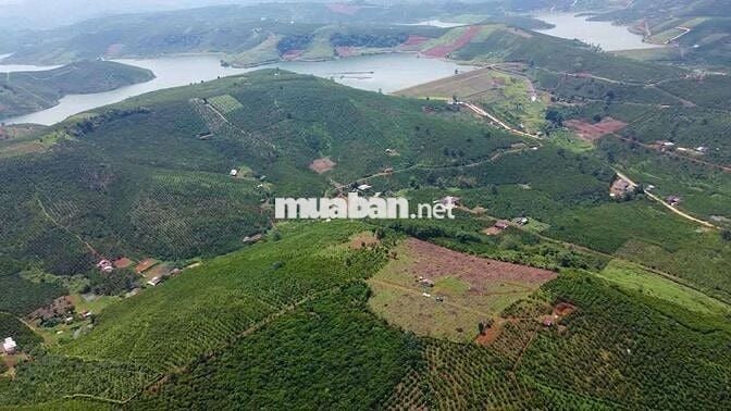 Chủ kẹt tiền cần bán mảnh đất view sông đẹp tại Di Linh, Lâm Đồng.