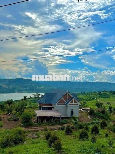 Chủ kẹt tiền cần bán mảnh đất view sông đẹp tại Di Linh, Lâm Đồng.