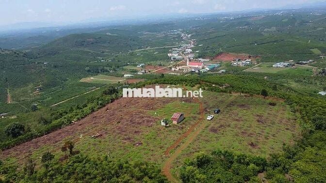 Chủ kẹt tiền cần bán mảnh đất view sông đẹp tại Di Linh, Lâm Đồng.
