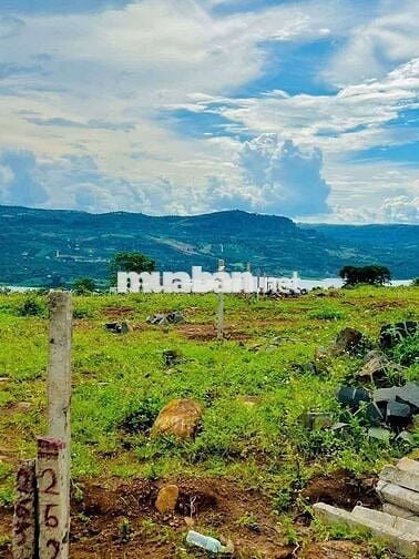 Chủ kẹt tiền cần bán mảnh đất view sông đẹp tại Di Linh, Lâm Đồng.